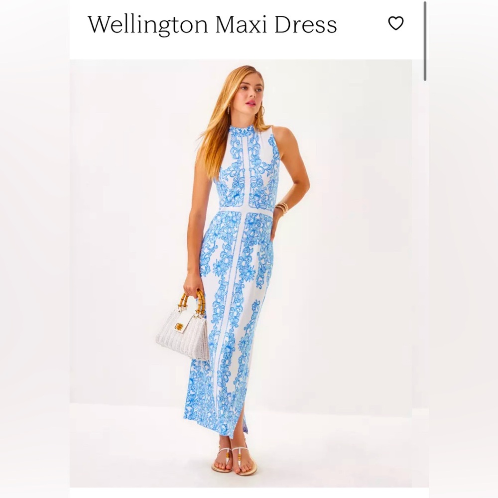 NWT Lilly Pulitzer Blue and White Maxi Dress